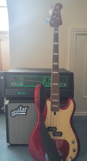 Lakland Duck Dunn Bass
