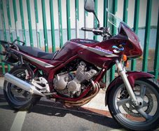 1995 Yamaha Cycle