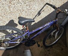 Apollo 24 inch bike