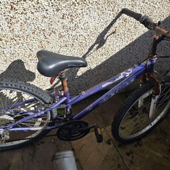 Apollo 24 inch bike