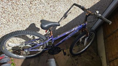 Apollo 24 inch bike