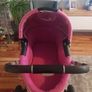 Pink Quinny buzz Image 4