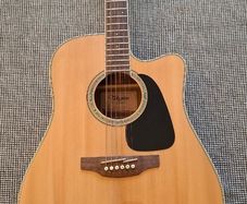 Takamine GD51CE-NAT Guitar -Free Bag