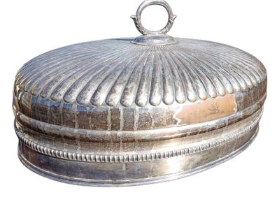 Antique 19th Century Large Oval Meat Dome / Cloche