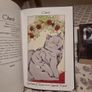 An Illustrated History of Notable Shadowhunters and Denizens of Downworld (Hardback)   and The Shadow Hunters Codex (Paperback) Image 10