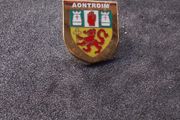 Co. Antrim : Aontroim Camogie , GAA Crest , Pin Badge