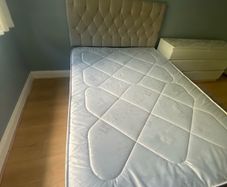 Free  Beds