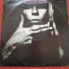 Vinyl Teardrop Explodes Passionate Friend Julian Cope