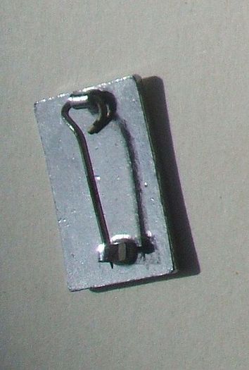 Royal College of Nursing (RCN) - membership badge (1980's)