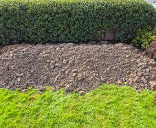 Soil