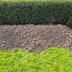 Soil