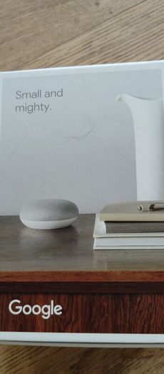 Google Nest Mini Working perfectly