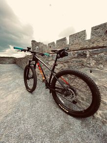 Trek Roscoe 8