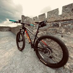 Trek Roscoe 8