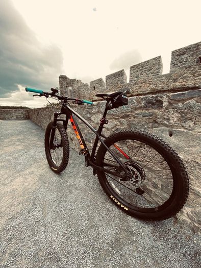 Trek Roscoe 8