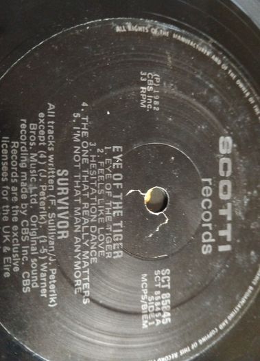 survivor vinyl
