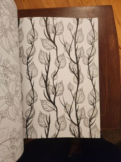The Flowers And Nature Colouring Book.  Large Volume Paperback In Good Condition.
