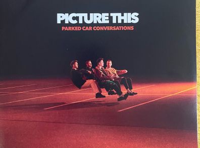 Picture This original Sony release. Parked car conversation double vinyl gatefold with inner picture sleeves in near mint condition