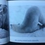 The Blue Day Book. - Reduced Image 4
