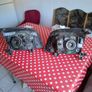 Nissan xtrail T30 Headlights Image 2
