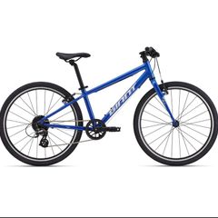 Giant Arx 24 Kids Bike