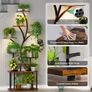 Plant Stand Indoor with Grow Lights, 9-Tier Tall S-Shaped Metal Plant Shelf Pot Stand for Plants Multiple, 161 CM Corner Shelf Plant Image 5