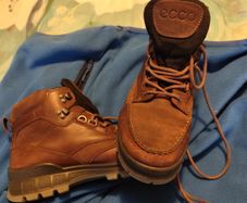 Ecco Boots.