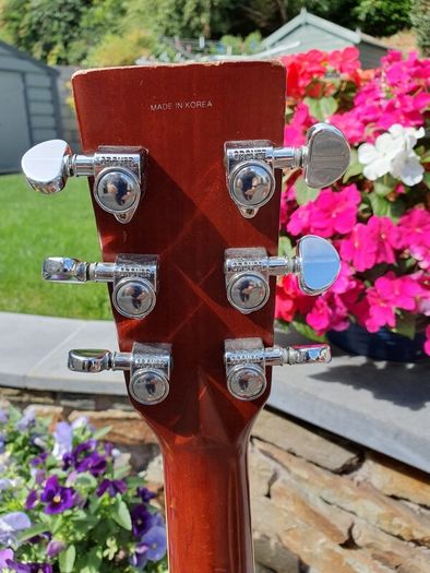Tanglewood TW15 Dreadnought