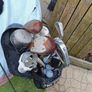 Golf.. Irons , Putter & Balls Image 2