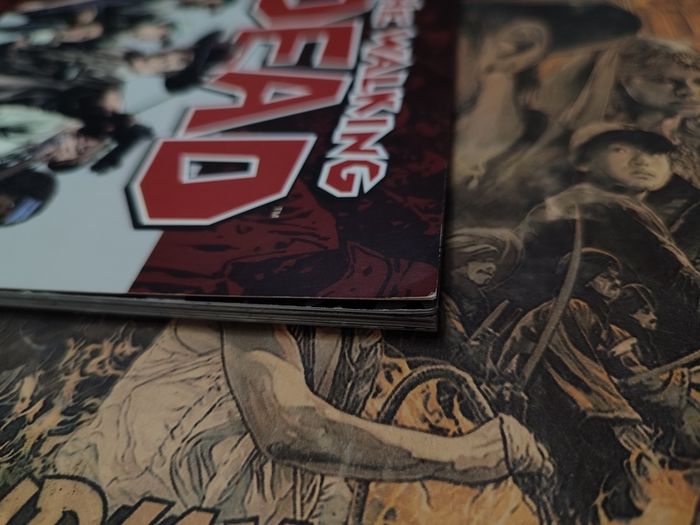 The Walking Dead: Survivors' Guide ! 2011 by Image Comics !