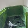 Pet Transport Crate (pet in the cargo hold) Image 3