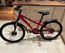 Carrera Blast Mountain Bike