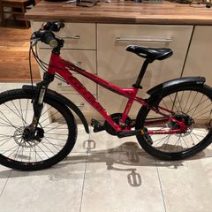 Carrera Blast Mountain Bike
