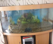Juwel Aquarium