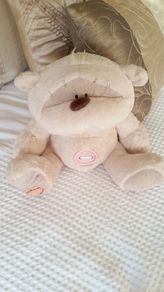 Fizzy Moon Teddy Bear