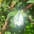 Sylwia33333