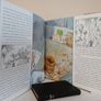 Jonathan Swift's Gulliver Retold by Martin Jenkins. Illustrated by Chris Riddell (HQ252) Image 5