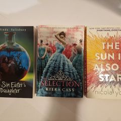 YA Book Bundle The Selection Sun Is Also A Star Sin Eaters Daughter