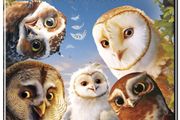 Legend Of The Guardians - The Owls Of Ga'Hoole (DVD)