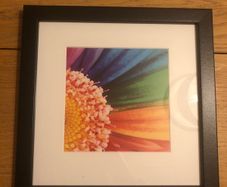 Framed print