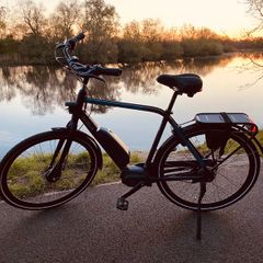 Gazelle CityGo C7 Mens Ebike
