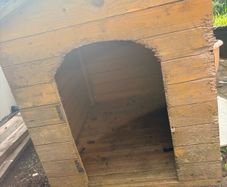 dog kennel
