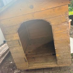 dog kennel