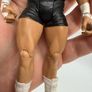 wwe Dolph Ziggler action figure Image 9