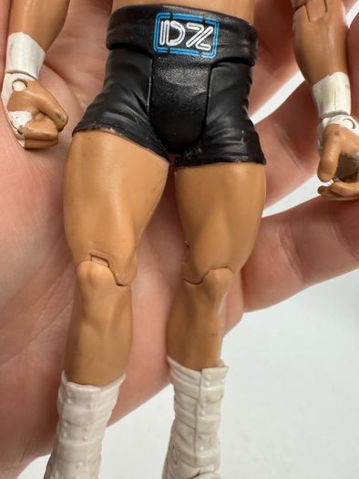 wwe Dolph Ziggler action figure