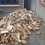 firewood KILDARE Image 5