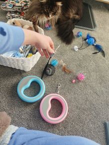 extensible pet rope