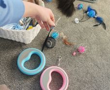 2 extensible pet rope