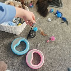 extensible pet rope