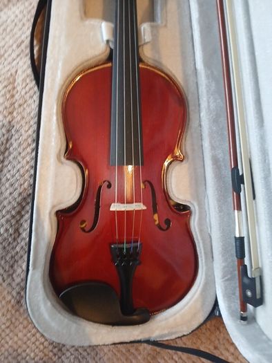 violin